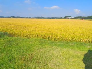 이미옥님의 2024년 농사 계획은? · 참여글 작성글 사진