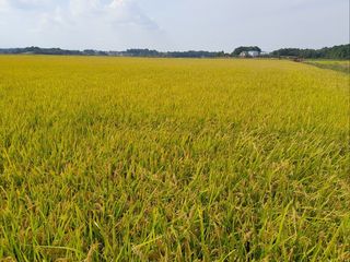 이미옥님의 2024년 농사 계획은? · 참여글 작성글 사진