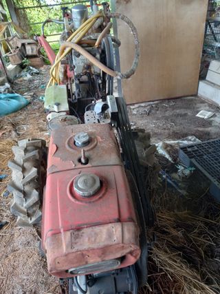 팜모닝회원 김광수님의 작성글 사진