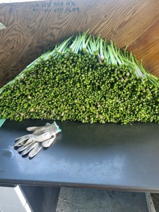 이정식님의 2024년 농사 계획은? · 참여글 작성글 사진