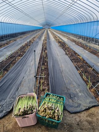 이정식님의 2024년 농사 계획은? · 참여글 작성글 사진