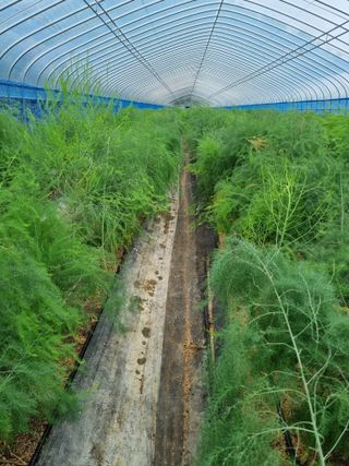 이정식님의 2024년 농사 계획은? · 참여글 작성글 사진