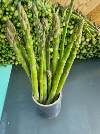 이정식님의 2024년 농사 계획은? · 참여글 작성글 사진