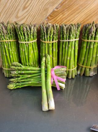 이정식님의 2024년 농사 계획은? · 참여글 작성글 사진