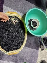 팜모닝 · 게시글 이미지