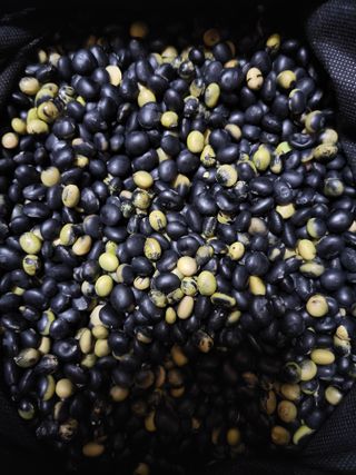 예비역님의 작성글 사진