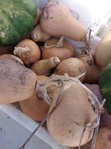 팜모닝 농사, 무엇이든 물어보세요!·참여글 게시글 이미지