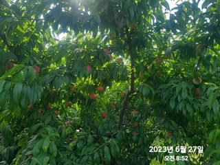 동우농장(김대욱)님의 2024년 농사 계획은? · 참여글 작성글 사진