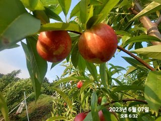 동우농장(김대욱)님의 2024년 농사 계획은? · 참여글 작성글 사진