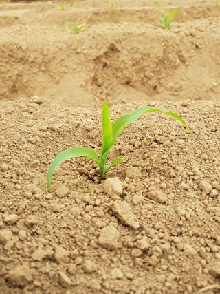 엘림농장님의 2024년 농사 계획은? · 참여글 작성글 사진