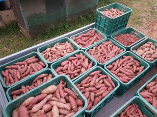 엘림농장님의 2024년 농사 계획은? · 참여글 작성글 사진