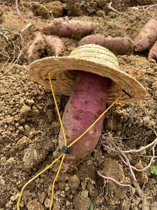 엘림농장님의 2024년 농사 계획은? · 참여글 작성글 사진