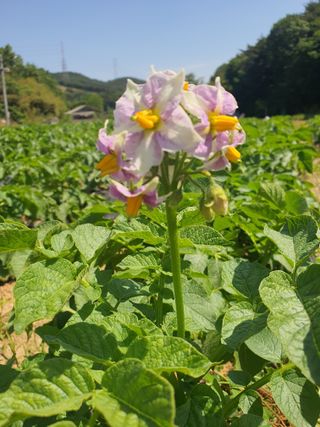 엘림농장님의 2024년 농사 계획은? · 참여글 작성글 사진