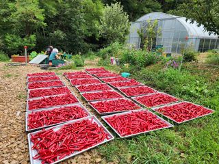 엘림농장님의 2024년 농사 계획은? · 참여글 작성글 사진