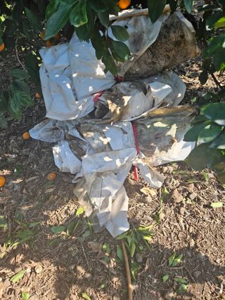 새달귤농장님의 2024년 농사 계획은? · 참여글 작성글 사진