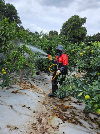 새달귤농장님의 2024년 농사 계획은? · 참여글 작성글 사진
