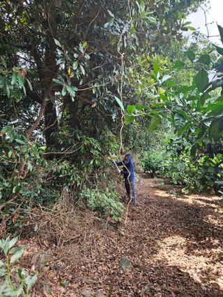 새달귤농장님의 2024년 농사 계획은? · 참여글 작성글 사진