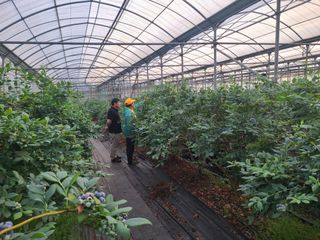 새달귤농장님의 2024년 농사 계획은? · 참여글 작성글 사진