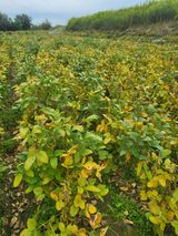 팜모닝 2024년 농사 계획은?·참여글 게시글 이미지