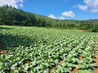 박준하님의 2024년 농사 계획은? · 참여글 작성글 사진
