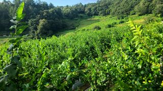 우정원님의 2024년 농사 계획은? · 참여글 작성글 사진