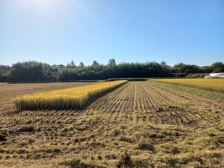 신토불이자연인님의 2024년 농사 계획은? · 참여글 작성글 사진