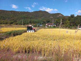 신토불이자연인님의 2024년 농사 계획은? · 참여글 작성글 사진