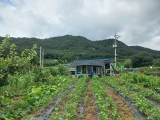 신토불이자연인님의 2024년 농사 계획은? · 참여글 작성글 사진