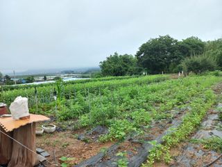 신토불이자연인님의 2024년 농사 계획은? · 참여글 작성글 사진