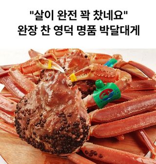 노가네수산님의 장터이야기 · 자유게시판 작성글 사진