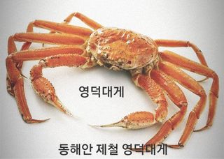노가네수산님의 장터이야기 · 자유게시판 작성글 사진