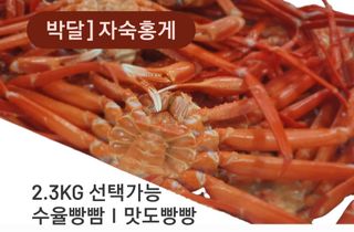 노가네수산님의 장터이야기 · 자유게시판 작성글 사진