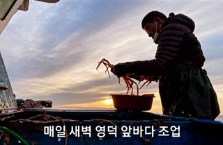 노가네수산님의 장터이야기 · 자유게시판 작성글 사진