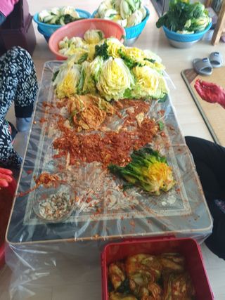 송월명님의 자유주제 · 자유게시판 작성글 사진