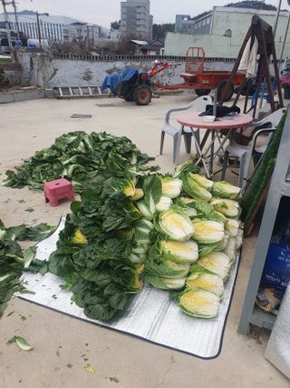 송월명님의 자유주제 · 자유게시판 작성글 사진