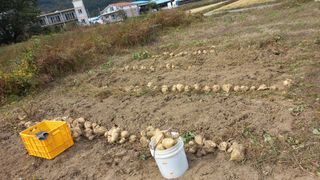 관운장님의 2024년 농사 계획은? · 참여글 작성글 사진