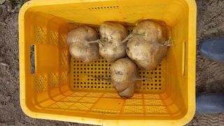 관운장님의 2024년 농사 계획은? · 참여글 작성글 사진