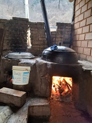 고추들깨이종우님의 콩 · 자유게시판 작성글 사진