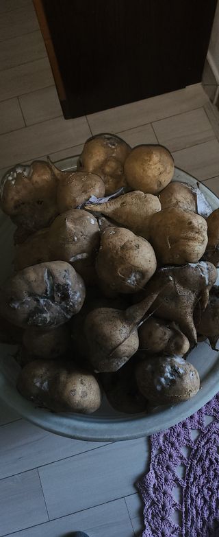 덕포킴님의 농사, 무엇이든 물어보세요! · 참여글 작성글 사진