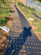 팜모닝 2024년 농사 계획은?·참여글 게시글 이미지