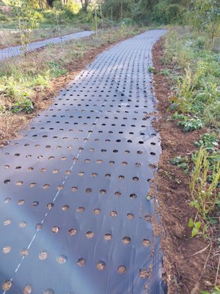 김종성님의 2024년 농사 계획은? · 참여글 작성글 사진