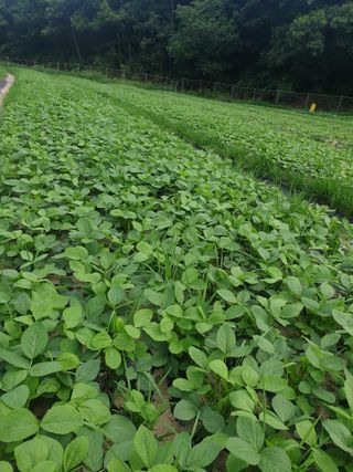 오숙님의 2024년 농사 계획은? · 참여글 작성글 사진