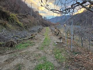 방재복님의 2024년 농사 계획은? · 참여글 작성글 사진