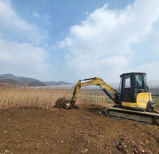 일심묘목농원님의 기타작물 · 자유게시판 작성글 사진