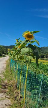 팜모닝 2024년 농사 계획은?·참여글 게시글 이미지