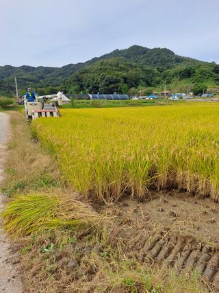 Mmebaik님의 2024년 농사 계획은? · 참여글 작성글 사진