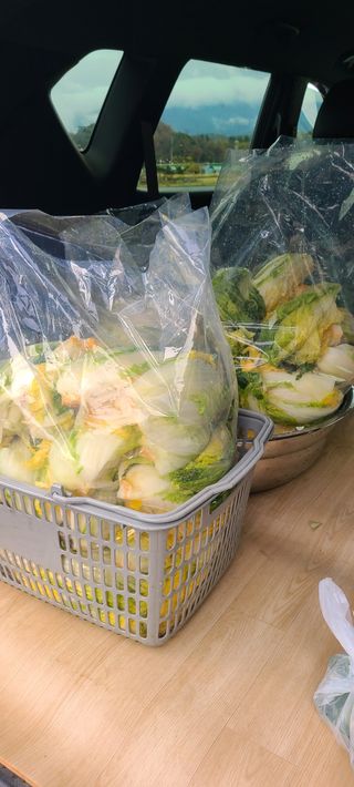 Mmebaik님의 2024년 농사 계획은? · 참여글 작성글 사진