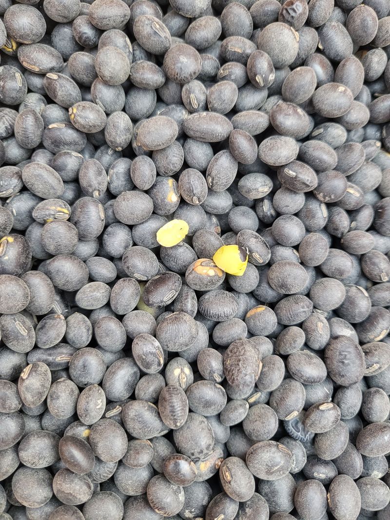 장터 상품 [1말] 썸네일