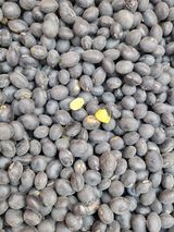 팜모닝 · 게시글 이미지