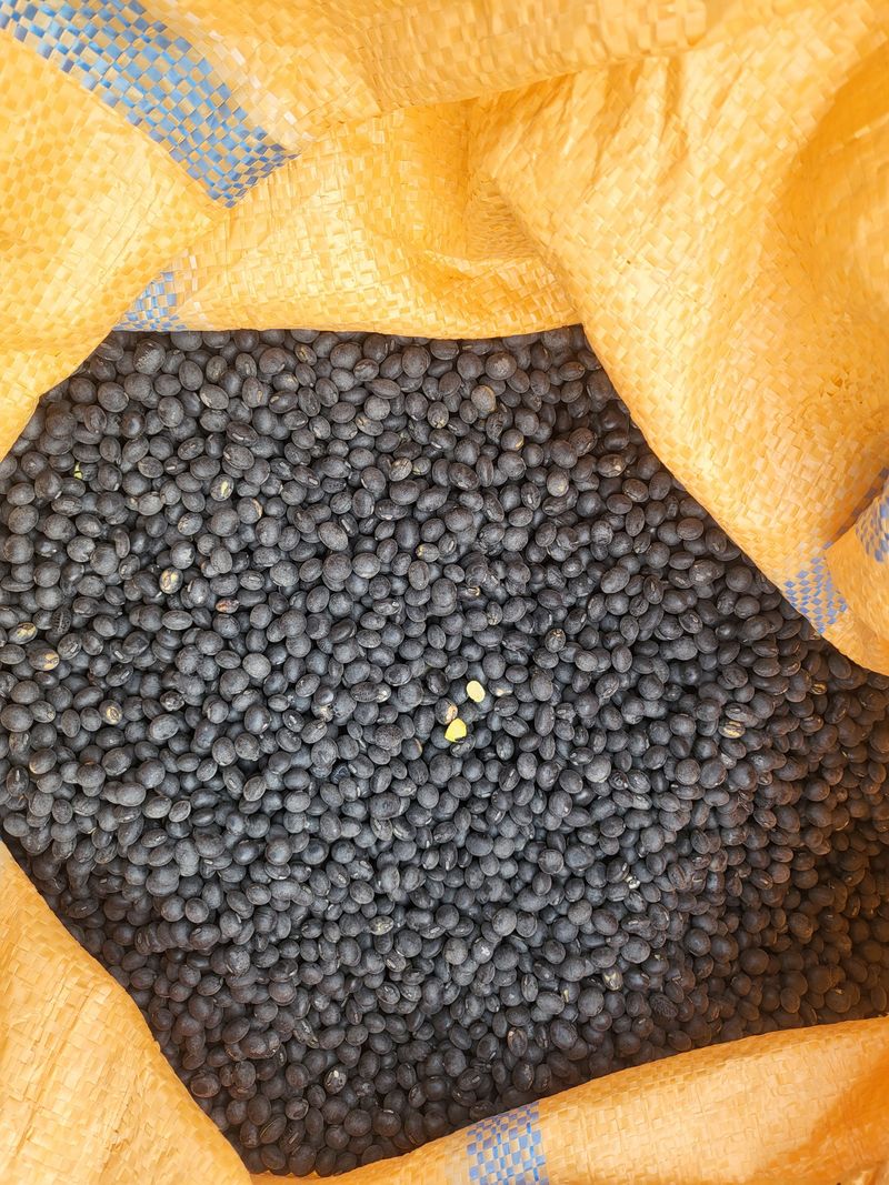 멋진동네님의 장터 판매 상품 [1말] 첨부 사진